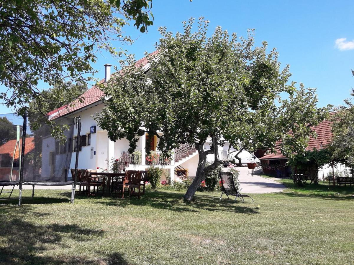 Apartment Gabi Smoljanac Exterior foto